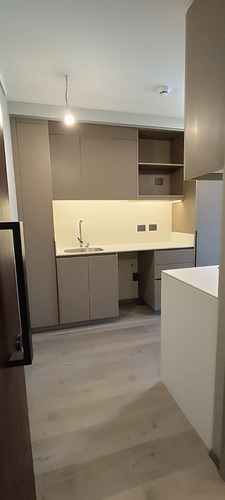 Arriendo Departamento N 1D 2B 1E 1B Las Lilas - Providencia