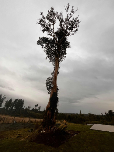 Arriendo Casa 4D 2B 2E 1B Puerto Chico - Puerto Varas