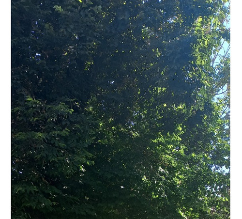 Venta Departamento 3D 2B 1E 1B Carlos Ossand&oacute;n - La Reina