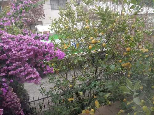 Venta Casa 5D 3B 2E Parque Juan XXIII - &Ntilde;u&ntilde;oa