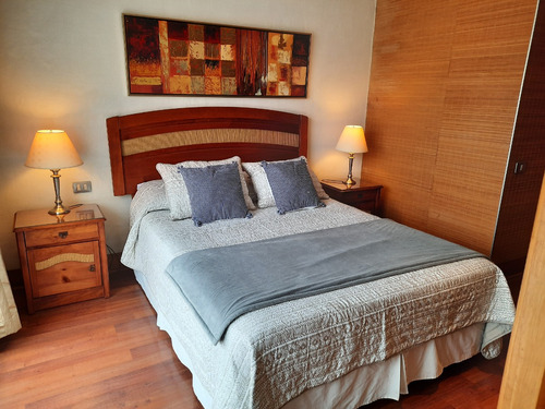 Arriendo Departamento SP 1D en suite Walk-in cl&oacute;set 1B 1B Pedro de Valdivia - Providencia
