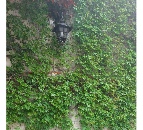 Venta Departamento O 3D 1B 1E 1B Plaza &Ntilde;u&ntilde;oa - &Ntilde;u&ntilde;oa