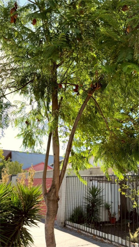 Venta Casa NOSP 3D 1B 2E 1B Diego de Almagro - &Ntilde;u&ntilde;oa