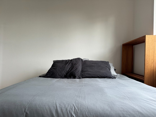 Arriendo Departamento 2D 2B Plaza Italia - Providencia