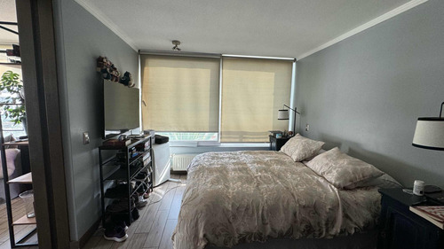 Arriendo Departamento 2D 2B 1E 1B Las Lilas - Providencia