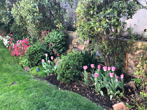 Venta Casa NO 5D en suite Walk-in cl&oacute;set 4B 2E 2B San Carlos de Apoquindo - Las Condes