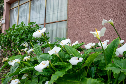 Venta Casa 4D 2B 1E Nuestra Se&ntilde;ora del Rosario - Vitacura