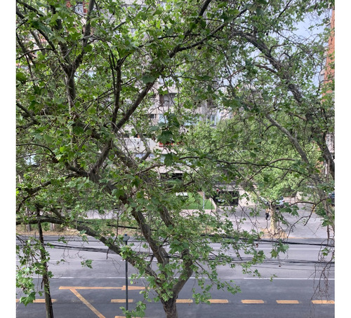 Arriendo Departamento NO 4D en suite Walk-in cl&oacute;set 3B 1E 1B Vaticano - Las Condes