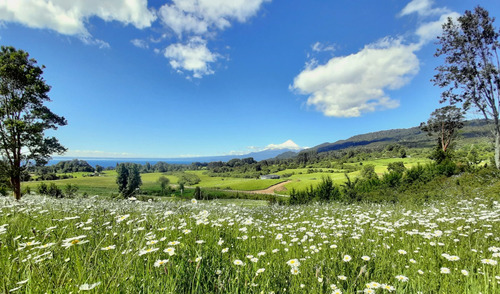 Arriendo Casa NO 3D en suite 2B 2E 1B Camino a Ensenada - Puerto Varas