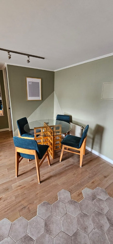 Arriendo Departamento O 2D 2B 1E 1B In&eacute;s de Su&aacute;rez - Providencia