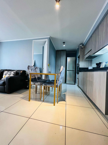 Venta Departamento 2D 1B In&eacute;s de Su&aacute;rez - Providencia