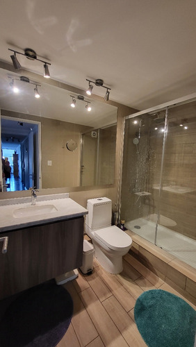 Arriendo Departamento 3D 3B 2E 1B In&eacute;s de Su&aacute;rez - Providencia