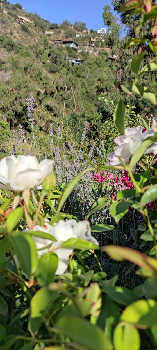 Arriendo Casa NO 3D 3B 4E 1Bd El Array&aacute;n - Lo Barnechea