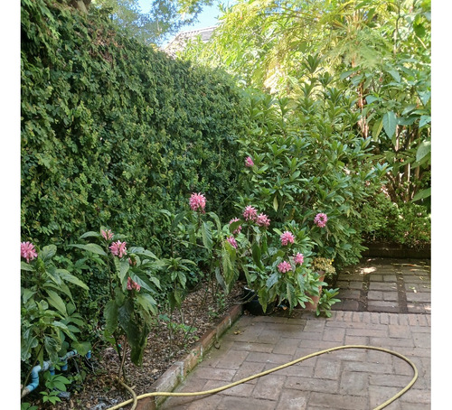 Arriendo Casa NO 3D en suite 3B 1E 1B Estoril - Las Condes