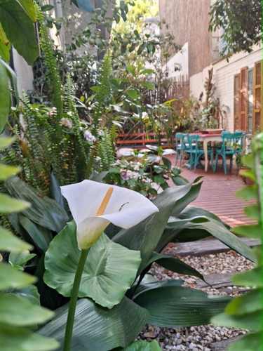 Arriendo Departamento N 2D 2B 1E Pedro de Valdivia - Providencia