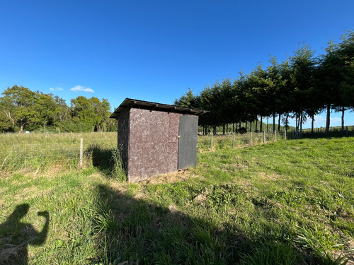 Venta Casa NP 2D en suite Walk-in cl&oacute;set 2B 1E 2B  - Puerto Varas