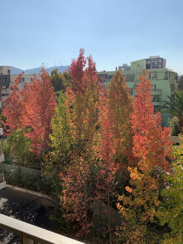 Arriendo Departamento NO 2D 2B 1E 1B In&eacute;s de Su&aacute;rez - Providencia