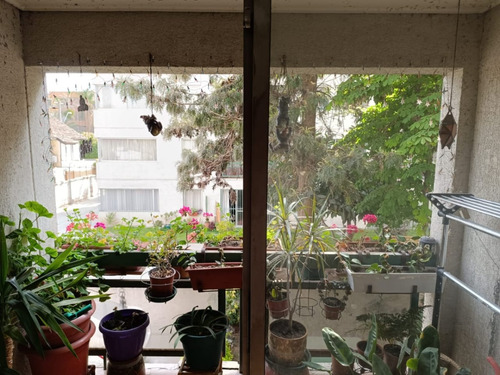 Venta Departamento P 4D 2B 1B Plaza &Ntilde;u&ntilde;oa - &Ntilde;u&ntilde;oa