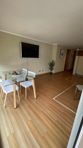 Arriendo Departamento 2D 2B 1E 1B Las Lilas - Providencia