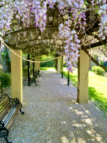 Arriendo Departamento P 2D 2B 1E 1B Barrio Italia - Providencia