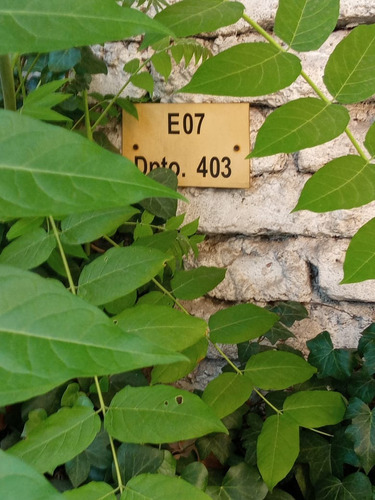 Venta Departamento NO 1D 1B 1E 1B Pedro de Valdivia - Providencia