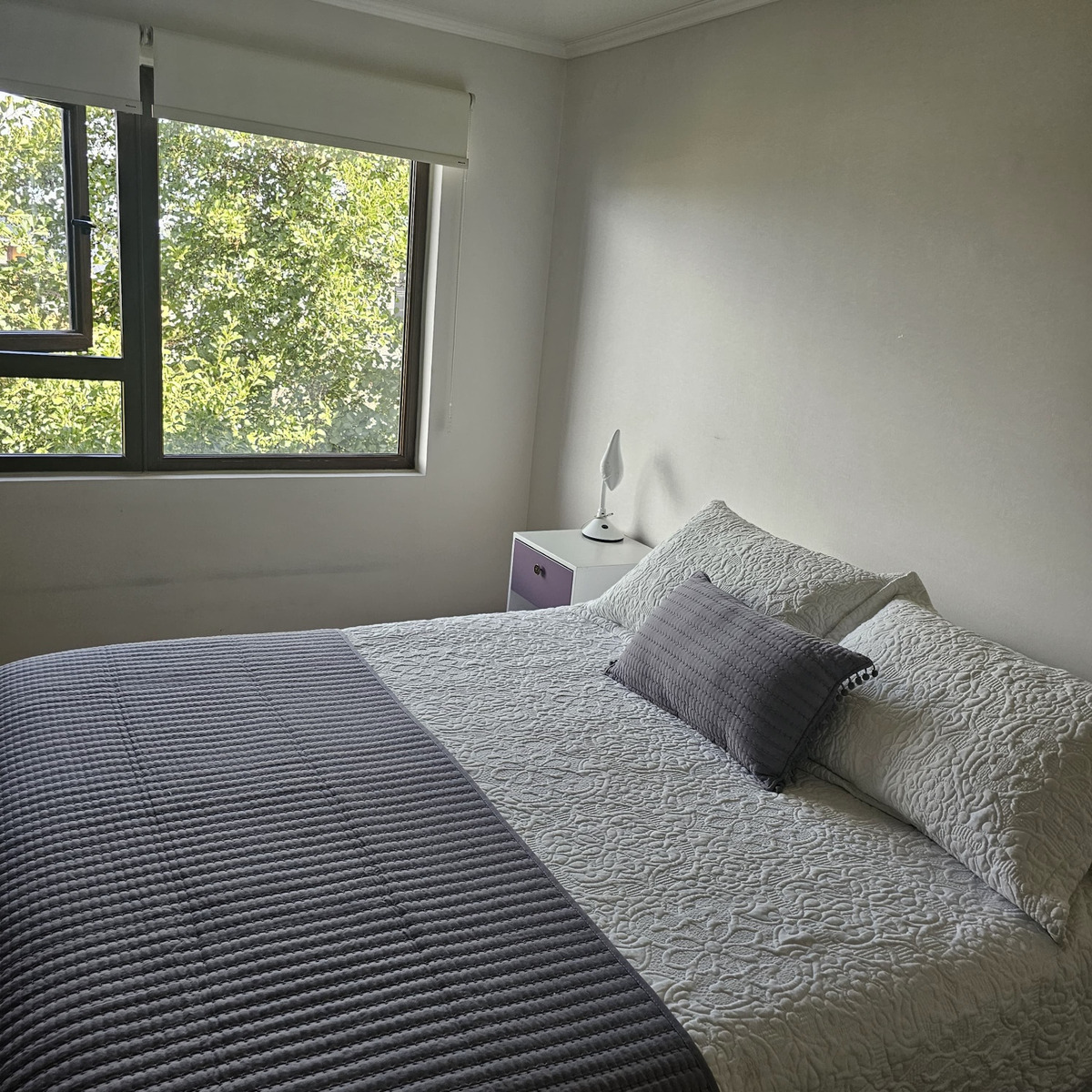 Arriendo Departamento 3D 3B 2E 1Bd Philippi - Puerto Varas