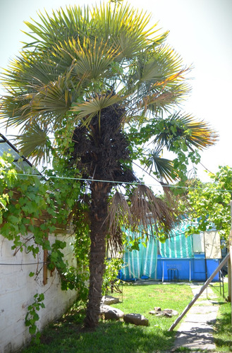 Venta Casa SP 3D 2B 1E 1B Col&oacute;n Oriente - Vital Apoquindo - Las Condes