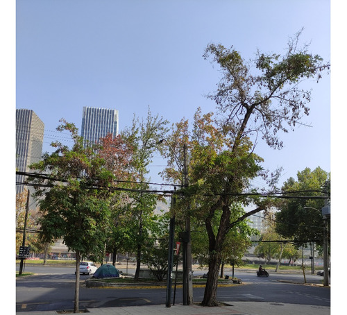 Arriendo Oficina NO 3B 3E 1B Pedro de Valdivia - Providencia