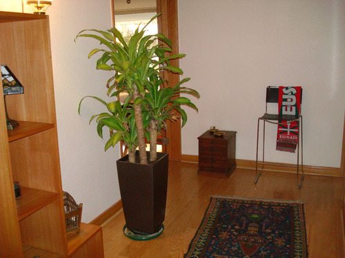 Venta Departamento 4D 4B 2E 1B P&iacute;o XI - Vitacura