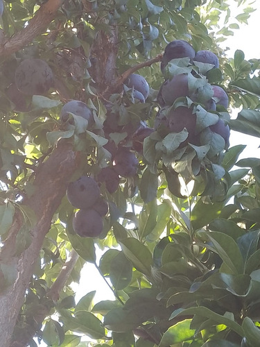 Venta Casa 5D en suite Walk-in cl&oacute;set 4B 2E 1B Chicureo - Colina