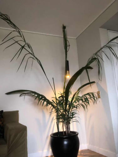 Arriendo Departamento 1D 2B 1E P&iacute;o XI - Vitacura