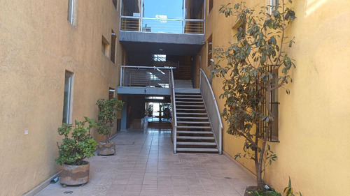 Arriendo Departamento NP 3D 2B 1E 1B Plaza &Ntilde;u&ntilde;oa - &Ntilde;u&ntilde;oa