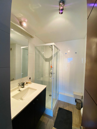 Arriendo Departamento NP 1D en suite 1B 2E 1B Metro Hernando de Magallanes - Las Condes