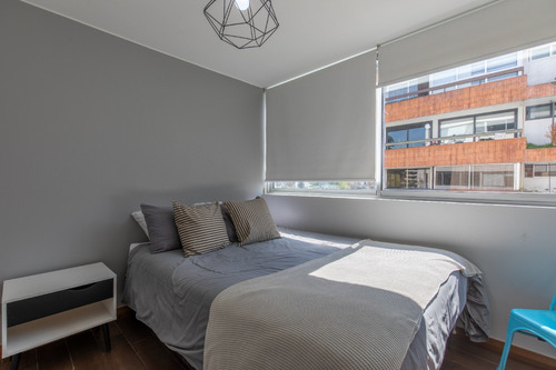 Arriendo Departamento NP 2D en suite Walk-in cl&oacute;set 2B 2E 1B Las Lilas - Providencia