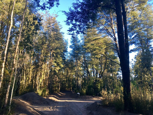 Venta Casa N 5D en suite Walk-in cl&oacute;set 3B 2E  - Puerto Varas