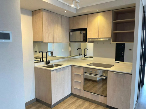 Arriendo Departamento NP 2D en suite 2B 1E 1B In&eacute;s de Su&aacute;rez - Providencia