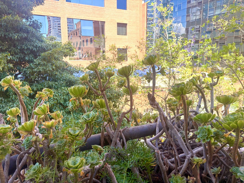 Arriendo Departamento SO 3D 3B 1E 1B Barrio El Golf - Las Condes