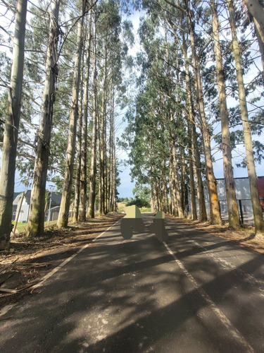 Venta Casa 3D 3B 2E Philippi - Puerto Varas