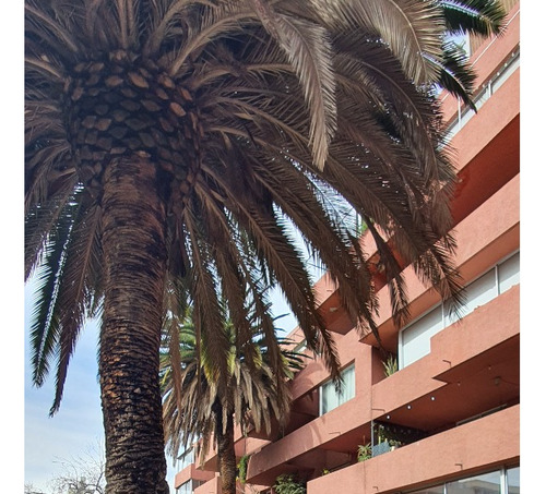 Venta Departamento N 4D 3B 1E 2B Los Leones - Providencia