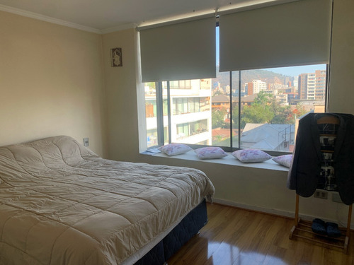 Arriendo Departamento N 3D 2B 1E 1B In&eacute;s de Su&aacute;rez - Providencia
