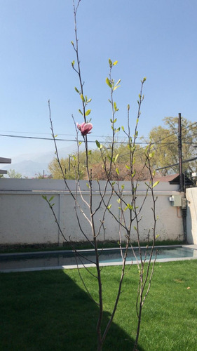 Arriendo Casa P 4D en suite Walk-in cl&oacute;set 3B 2E 1B Rotonda Atenas - Las Condes