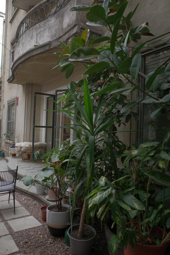 Venta Departamento NO 3D 3B 1E Los Leones - Providencia