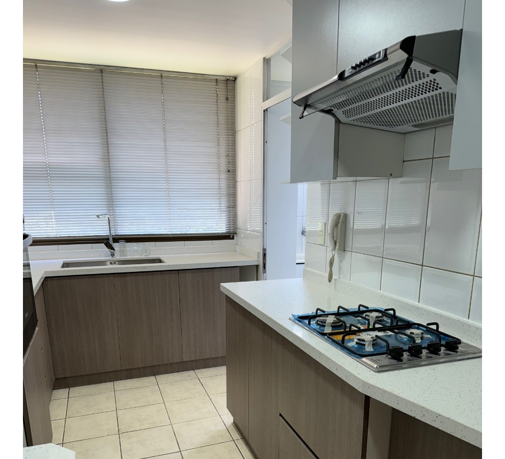 Venta Departamento NP 4D en suite Walk-in cl&oacute;set 3B 2E 1Bd Los Leones - Providencia