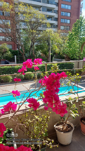 Venta Departamento 3D 3B 1E Blest Gana - La Reina