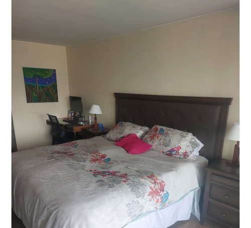 Arriendo Departamento SO 4D 3B 1E 1B Los Leones - Providencia