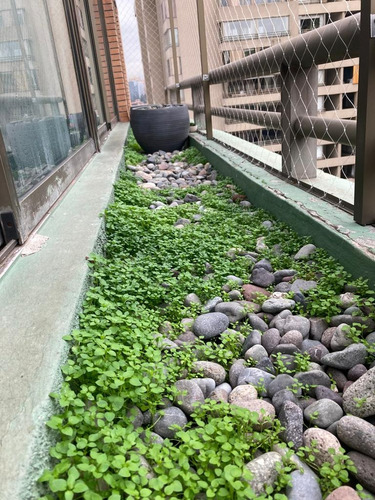 Arriendo Departamento SO 2D 2B 1E 1B Metro Escuela Militar - Las Condes