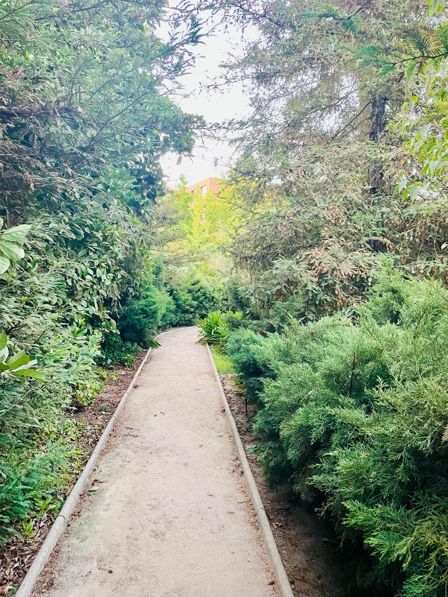 Arriendo Departamento SP 4D en suite Walk-in cl&oacute;set 4B 2E 1Bd La Dehesa - Lo Barnechea