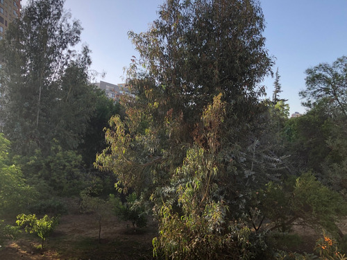 Venta Departamento NO 3D 2B 1E Sebasti&aacute;n Elcano - Las Condes