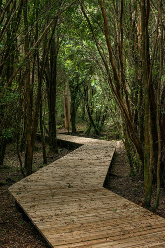 Venta Casa N 4D 2B 1E  - Puerto Varas