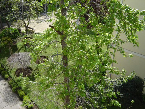 Arriendo Departamento NO 3D 2B Pedro de Valdivia - Providencia